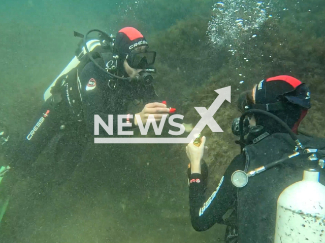 This image is a screen grab of the video supplied titled NewsX-SeaProposal-01.mp4: Footage show 21 years old Daniil proposing  to his beloved 21 years old Nastya at the at a depth of 7 meters underwater in the Black Sea,  Crimea, Ukraine undated. Footage published by ANTARES - Diving Club on Sunday, Aug 31, 2025.(Clipzilla/NX)