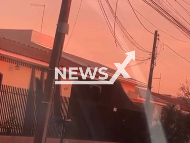 Wheelchair user steals power cables from a pole in Maringa, Brazil, undated. He had been arrested for drug trafficking days earlier in the city center, but was released hours later. Note: Photo is a screenshot from a video. (Newsflash/NX)