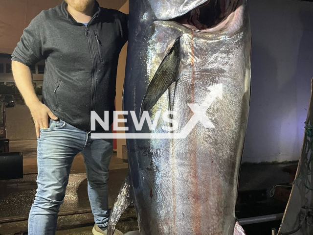 Picture shows angler Marcus Rostadt with the fish, undated. He caught the fish in Norway, on Sept.06,2025. Note: Licensed photo. (@noldus94/Newsflash/NX)