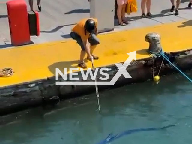 Man shots a globally endangered blue sailfish with a harpoon in Bodrum, Turkey, undated. Locals reacted angrily to the shooting. Note: Photo is a screenshot from a video. (Newsflash/NX)