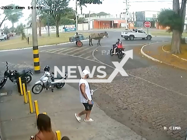 Motorcyclist hits horse on street in Franca, SP, Brazil, Sep. 21, 2025. Neither he nor the animal were injured. Note: Photo is a screenshot from a video(Newsflash/NX)