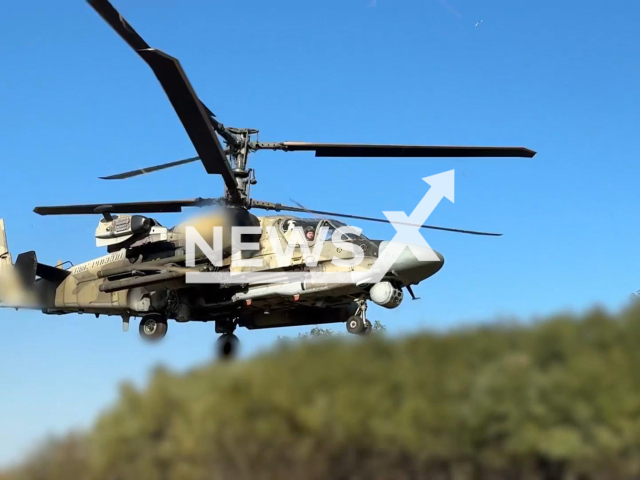 This image is a screen grab of the video supplied titled NewsX-HelicopterPosition-01.mp4: Footage shows Russian Ka-52M helicopters firring missiles at Ukrainian military position on the frontlines in Ukraine on Tuesday, Sep. 30, 2025.(Clipzilla/NX)