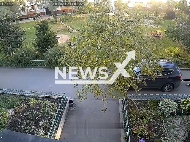 This image is a screen grab of the video supplied titled NewsX-PedReverse-01.mp4: Footage shows a car reversing, striking a woman and knocking her to the ground  in a courtyard in Veliky Novgorod, Russia on Monday, Sep. 29, 2025.(Clipzilla/NX)