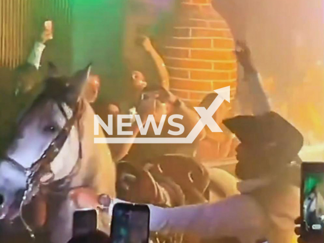 Video shows the horse in the bar in Bogota, Colombia, undated. The act was described as outrageous abuse. Note: Photo is a screenshot from a video. (Newsflash/NX)
