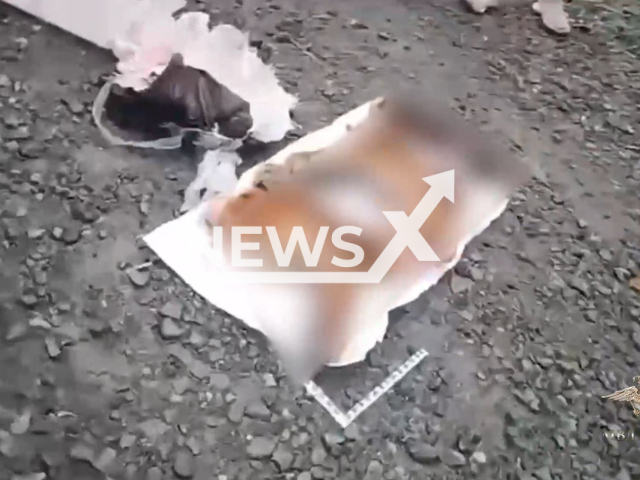 Video shows police arresting the suspects for the killing of the Amur tiger, undated. The parts were found in a car on a highway in Primorye, Russia. Note: Photo is a screenshot from a video(@IrinaVolk_MVD/Newsflash/NX)