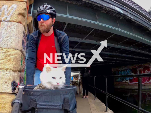 Travis Nelson and his cat Sigrid riding the bike around London. Note: Photo is a screenshot from the video (@skintension/Newsflash)