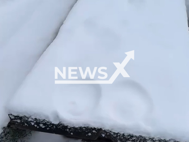 Video shows the imprints left by the Luxy Dutch's breasts, undated. She is one of the most famous OnlyFans creators in the Netherlands. Note: Photo is a screenshot from the video (@itsluxydutch/Newsflash)