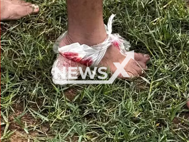 Picture shows the visitors at the palace where the incident happened, undated. A piranha attack left at least ten people injured in Iacu, Brazil. Note: Private photo. (Newsflash)