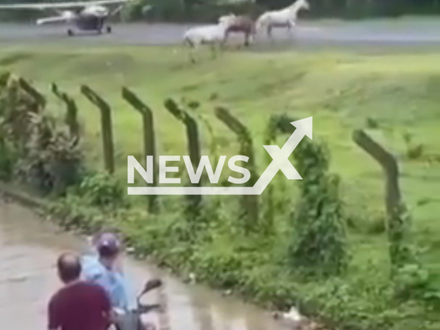 Small plane nearly runs over horses at the Narcisa Navas airport in the municipality of Acandi, in the department of Choco, Colombia, Jan. 31, 2026. Note: Photo is a screenshot from the video (Newsflash)