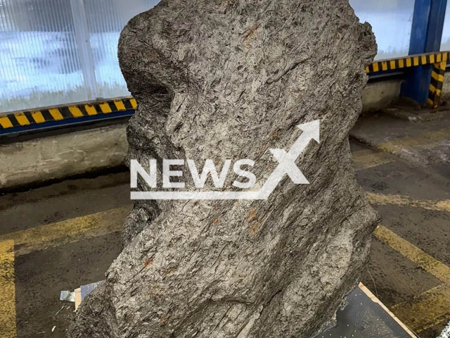 Photo shows the meteorite found by the customs agents in St.Petersburg, Russia, undated. It was attempted to be smuggled to the UK. Note: Licensed photo. (FBS/Newsflash)