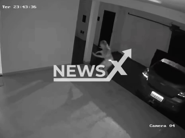This image is a screen grab of the video supplied titled NewsX-GhosRid-01.mp4: CCTV footage shows the car starts moving by its own in the garage and knock down the gate of the house in Uberlandia, Brazil on Tuesday, Feb. 3, 2026.(Clipzilla)