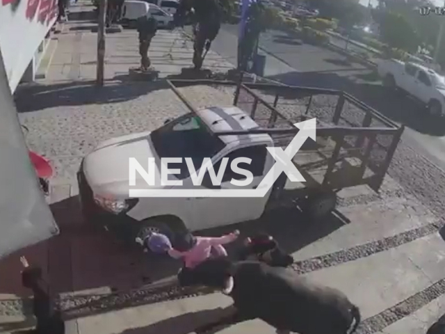 This image is a screen grab of the video supplied titled NewsX-RegeBull-01.mp4: Footage shows runaway bull attacking a mother and her five-year-old daughter in the street in Pedro Escobedo, Mexico, on Saturday, 7 February 2026. Six people in total were injured. (Clipzilla)