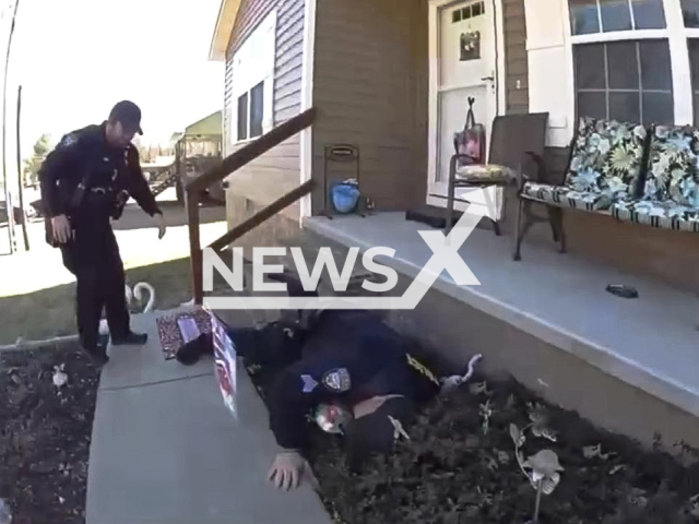 This image is a screen grab of the video supplied titled NewsX-BreaksAnkle-01.mp4: Video shows a police Sgt. Bennett tripping and falling through a residential porch, pushing another officer in the process and nearly causing him to fall as well, in an incident humorously dubbed a 'rapid tactical descent' by the department in Monterey, Tennessee, United, States on Saturday, Feb. 7, 2026.(@MontereyPoliceDepartment/Clipzilla)
