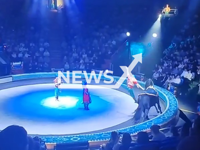 This image is a screen grab of the video supplied titled NewsX-FallingAcrobat-01.mp4: Footage shows acrobat falling from a horse and suffered an open fracture of his leg during a performance at the Nizhny Novgorod Circus, Russia on Feb. 7, 2026.(Clipzilla)