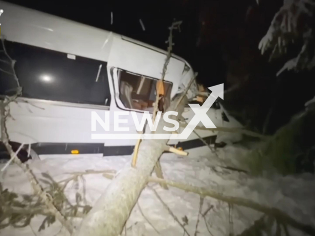 This image is a screen grab of the video supplied titled NewsX-FallenTree-01.mp4: Footage show a minibus carrying passengers hitting a fallen tree lying on the roadway on the Minsk – Kalachi – Myadel highway, Vileyka district, Belarus on Thursday, Feb. 5, 2026.(Clipzilla)