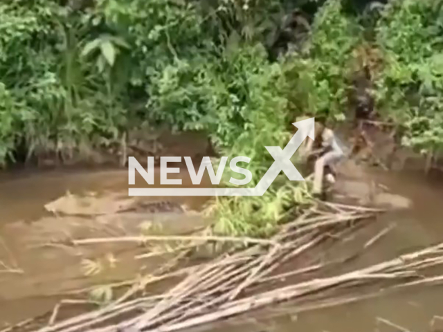 A crocodile attacks a woman in teluk Dalam, Indonesia, on Feb,15,2026. She was freed but died. Note: Photo is a screenshot from the video (Newsflash)