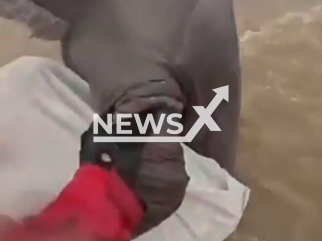 This image is a screen grab of the video supplied titled NewsX-FloodRoof-01.mp4: Footage shows a police helicopter evacuating a man trapped in floodwaters in the Kocarli district of Aydın, Turkey on Thursday, Feb. 19, 2026.(Clipzilla)