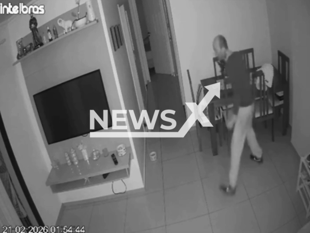 This image is a screen grab of the video supplied titled NewsX-RoberDogs-01.mp4: Footage shows dog scares off intruder and prevents burglary in apartment in Vila Olimpia, Brazil on Saturday, Feb. 21, 2026.(Clipzilla)