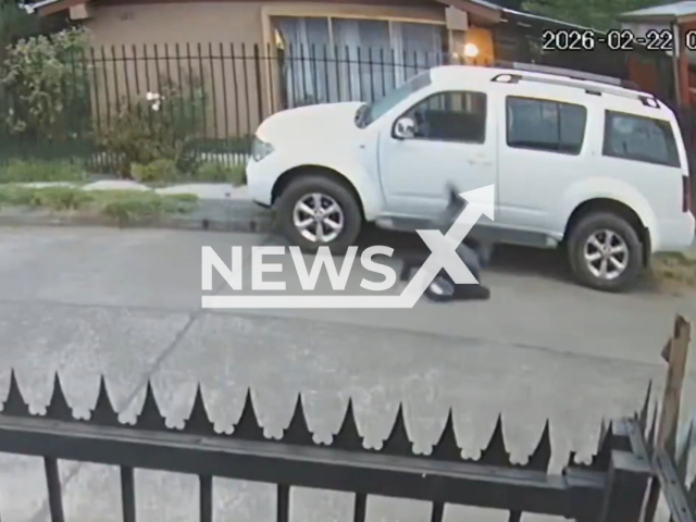 This image is a screen grab of the video supplied titled NewsX-RobberyBackfires-01.mp4: CCTV shows a car thief smashing vehicle windows with stones before slipping and hitting his head while climbing out of the car in Temuco, Chile on Sunday, Feb. 22, 2026.(Clipzilla)