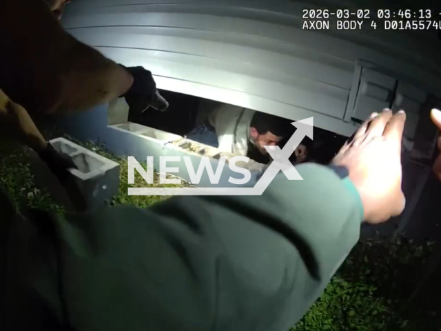 This image is a screen grab of the video supplied titled NewsX-UnderHouse-01.mp4: Footage shows deputies arresting a career criminal after he fled a traffic stop in a stolen pickup truck and hid under a house, where Flagler County Sheriff’s Office K-9 Uno tracked him down and bit the suspect during the capture in Bunnell, Flagler County, Florida, United States on Monday, Mar. 2, 2026.(FCSO/Clipzilla)