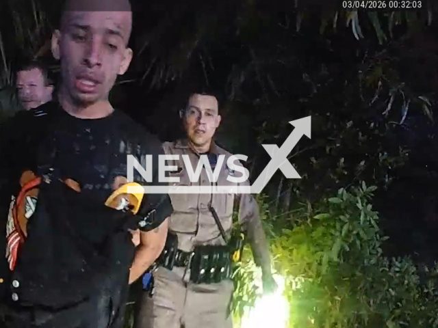 This image is a screen grab of the video supplied titled NewsX-MustangThief-01.mp4: Footage shows an LCSO helicopter tracking a fleeing suspect after a stolen Mustang crashed, before a police K9 named Vader locates and apprehends the driver who ran from the scene in North Fort Myers, Florida, United States on Tuesday, Mar. 3, 2026.(Clipzilla)