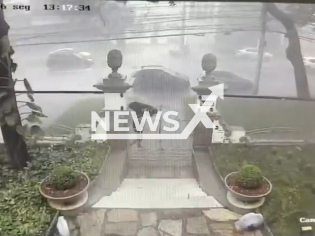 A tree almost crushes a pedestrian during storm in Belo Horizonte, Brazil, on Mar.09,2026. It toppled onto the street. Note: Photo is a screenshot from the video (Newsflash)