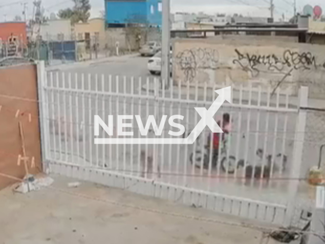 This image is a screen grab of the video supplied titled NewsX-BikeMexi-01.mp4: Footage shows pack of dogs attacking a child riding his bicycle in Mexicali, Mexico on Saturday, Mar. 7, 2026.(Clipzilla)