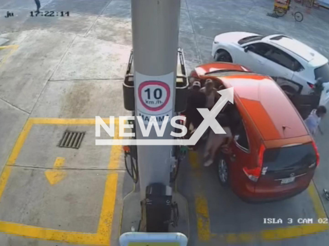 This image is a screen grab of the video supplied titled NewsX-MexiTrusky-01.mp4: Footage shows a group of men carrying long guns stealing a family's pickup truck while they were filling up their car at a gas station in the municipality of Tihuatlan, Veracruz, Mexico on Mar. 5, 2026.(Clipzilla)