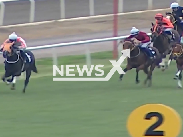 Picture shows horse racing with the British racehorse named "Smart Latch.", undated. An investigation has been launched after a digital chip was found inside a dish of roasted meat distributed at a soup kitchen in Mersin, Turkey. Note: Image is a screenshot from video. (Newsflash)