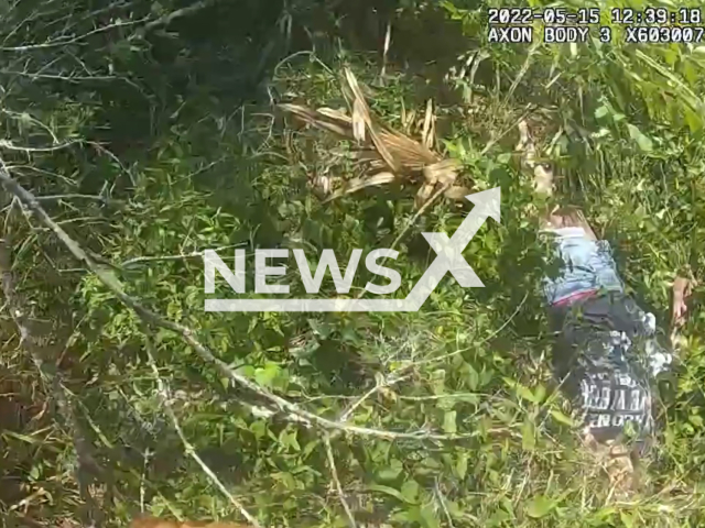 Hillsborough County Sheriff’s Office K-9 found missing woman on the 15th of May 2022 in Thonotosassa, Florida. Note: Picture is a screenshot from a video (HCSOSheriff/Clipzilla)