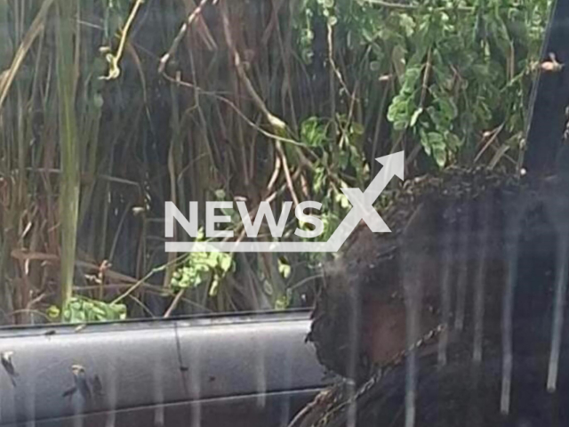 Picture shows the man who lost consciousness inside a vehicle while passing through the area where the attack occurred in Jordania, Minas Gerais, Brazil. He later died. Note: Private photo. (Newsflash)