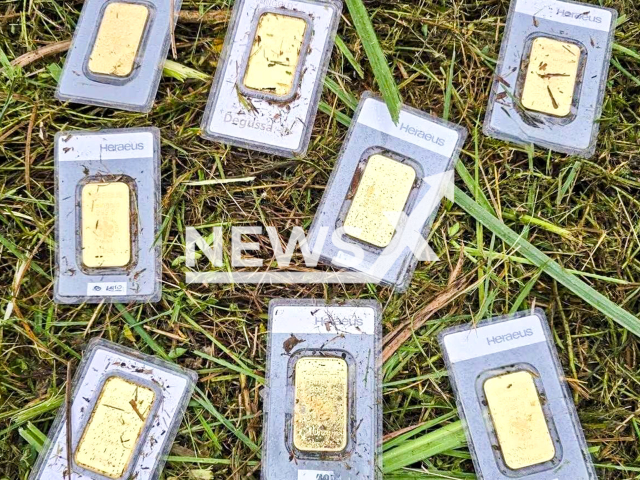 Picture shows the gold bars found during mowing work in Bannewitz (Saxony) in Germany, undated. The treasure is worth around 30,000 euros.  Note: Photo from Bannewitz Public Order Office. (Ordnungsamt Bannewitz/newsX/NF)