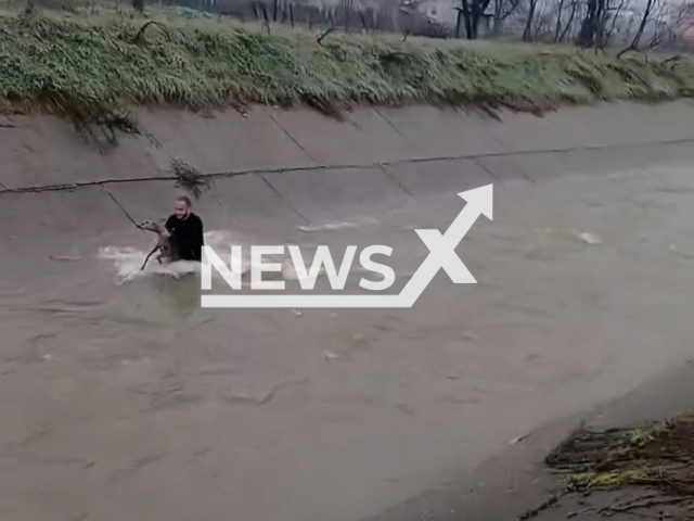Man jumps into Krizevica river to rescue a doe in Bosnia and Herzegovina, undated. Note: Photo is a screenshot from a video. (Newsflash)