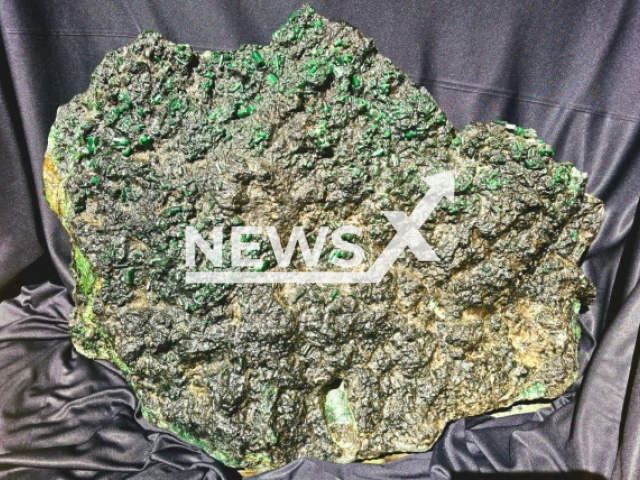 Picture shows the 142 kg emerald found in the Serra da Carnaiba, Brazil, undated. "SELENA" is composed of green beryl crystals, that is, emeralds in their natural state. Note: Photo from Bid Leilao. (Bid Leilao/Newsflash)