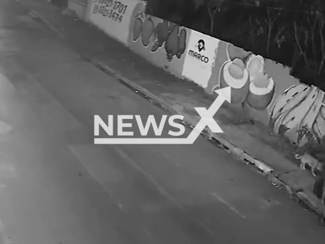 Juliana Schiel falls into a manhole while walking her dog on Saturday, May 16, 2026,  in Cuiaba, Brazil. She  broke teeth and caused cuts on her lip and chin. Note: Photo is a screenshot from a video. (Newsflash/NX)