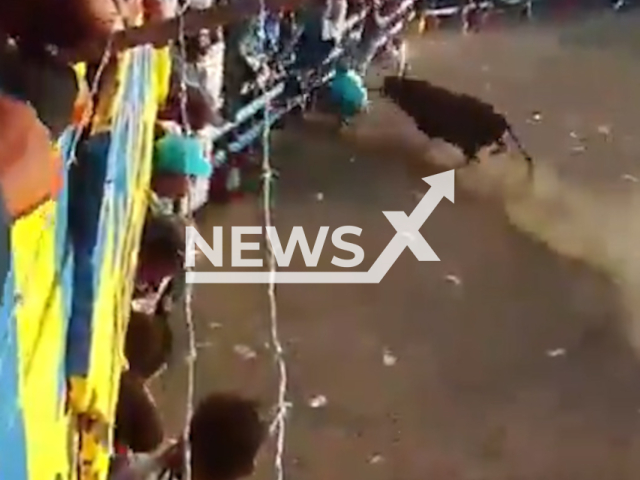 Man is gored by bull on July 18, 2026, in Pijino del Carmen, Colombia. Jose Luis Molina Oliveros, 38, dies as a result of his injuries. Note: Photo is a screenshot from a video. (Newsflash/NX)
