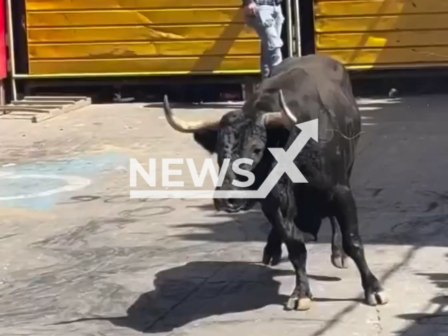 Bull gores man during an event in Huamantlada, Tlaxcala, Mexico, Aug. 22, 2026. Note: Photo is a screenshot from a video. (Newsflash/NX)