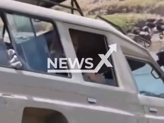 Safari off-road vehicle carrying Swiss tourists plunges into river - home to Nile crocodiles, in Serengeti National Park in Tanzania, Aug. 30, 2026. Note: Photo is a screenshot from a video. (Harrisons)