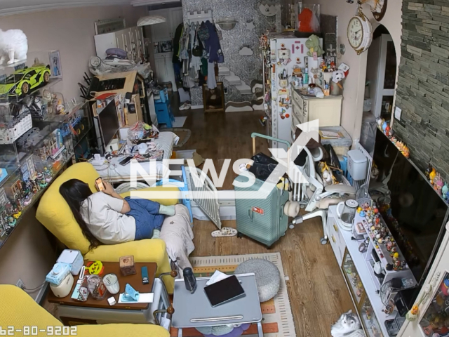A cat leaping onto a shelf causes it to topple over, striking a woman sitting and using her phone in Beijing, China. The video was shared on Douyin - the Chinese version of TikTok on Aug. 29, 2026. Note: Photo is a screenshot from a video. (Harrisons)
