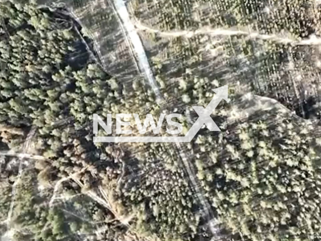 Small Ukrainian drone cause considerable panic in the positions of the occupiers near Severodonetsk in May 2022. Note: This picture is a screenshot from the video (@usofcom/Newsflash).