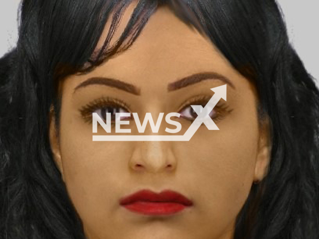 Police sketch of the female suspect who stole a 16-century masterpiece by Dutch painter Pieter Aertsen. Note: Licensed photo. (Polizei Bielefeld/Newsflash)