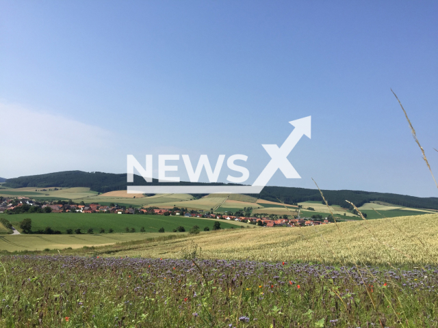 Flower strips next to a conventional wheat field near Sebexen in the district of Northeim, Germany.
Note:  Licensed photo(Costanza Geppert/Newsflash).