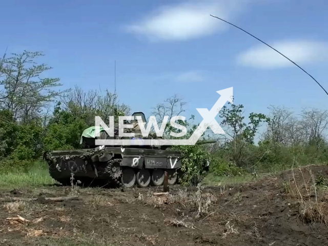 Captured AFU fortified positions. Note: This picture is a screenshot from the video (MoD Russia/Newsflash).