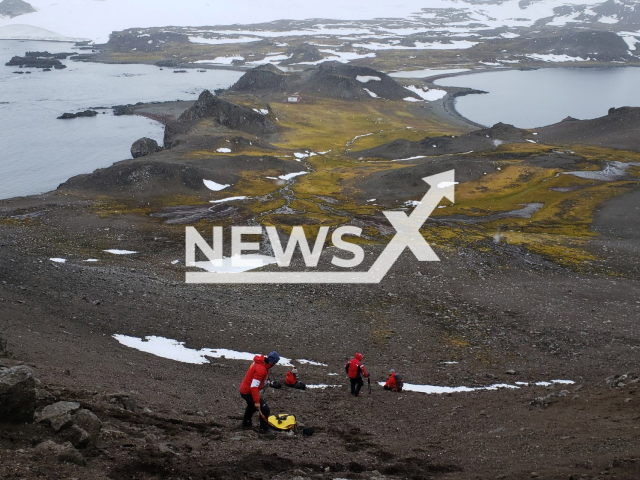 Hyper-resistant bacteria discovered in Antarctica that could pose a risk to global health. Note: Licensed photo(Universidad de Chile/Newsflash).