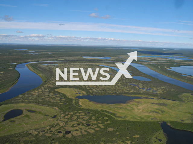 Aerial photo of open Northern forest on the Taymyr Peninsula, Siberia, (proximity of the river Chatanga), consisting of larches. In some parts of this area the trees are growing in dense formations, in others one can see just very few trees. 
Note: Licensed photo(Stefan Kruse/Newsflash).