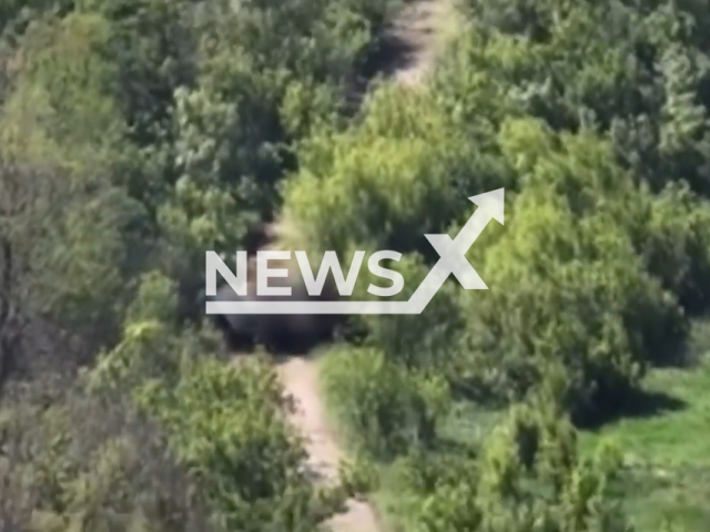 Enchanting destruction of enemy infantry fighting vehicles with full ammunition and crew in May 2022. Note: This picture is a screenshot from the video (@30brigade/Newsflash).