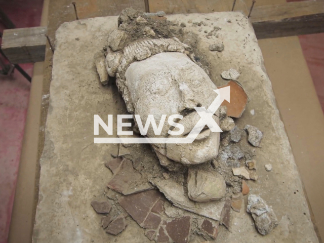 Stuccoed head of the young maize god discovered in Palenque. Note: Picture is a screenshot from a video (INAH TV/Newsflash)