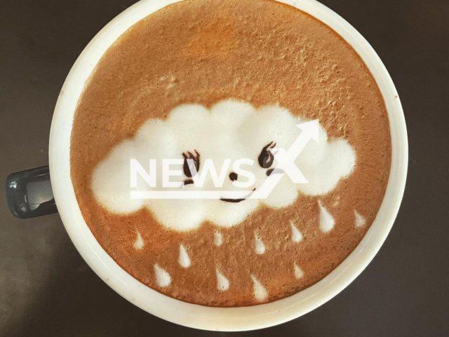 Woman creating coffee art in Vinh city, Vietnam.Note: We've obtained permission for this photo. (@itsartbypam/Newsflash)