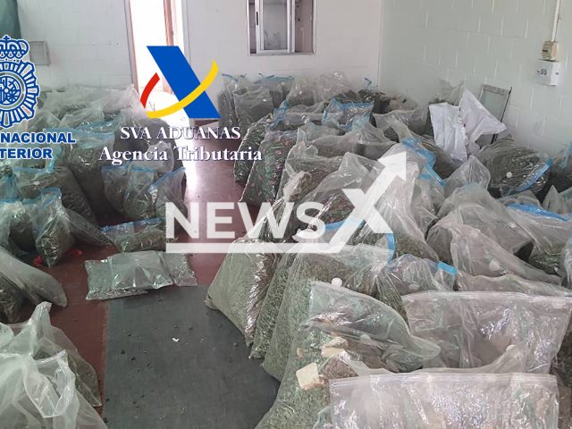 200 police officers dismantled a group of drug traffickers from the Sinaloa Cartel who operated in Madrid, Spain, in June, 2022. Note: Police photo. (Newsflash)