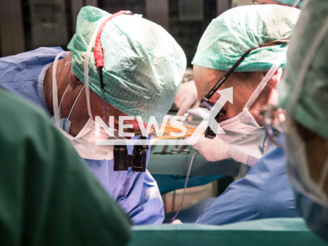 Prof. Pierre-Alain Clavien and Prof. Philipp Dutkowski during the transplantation of the liver treated in the machine.
Note: Licensed photo(USZ/Newsflash).